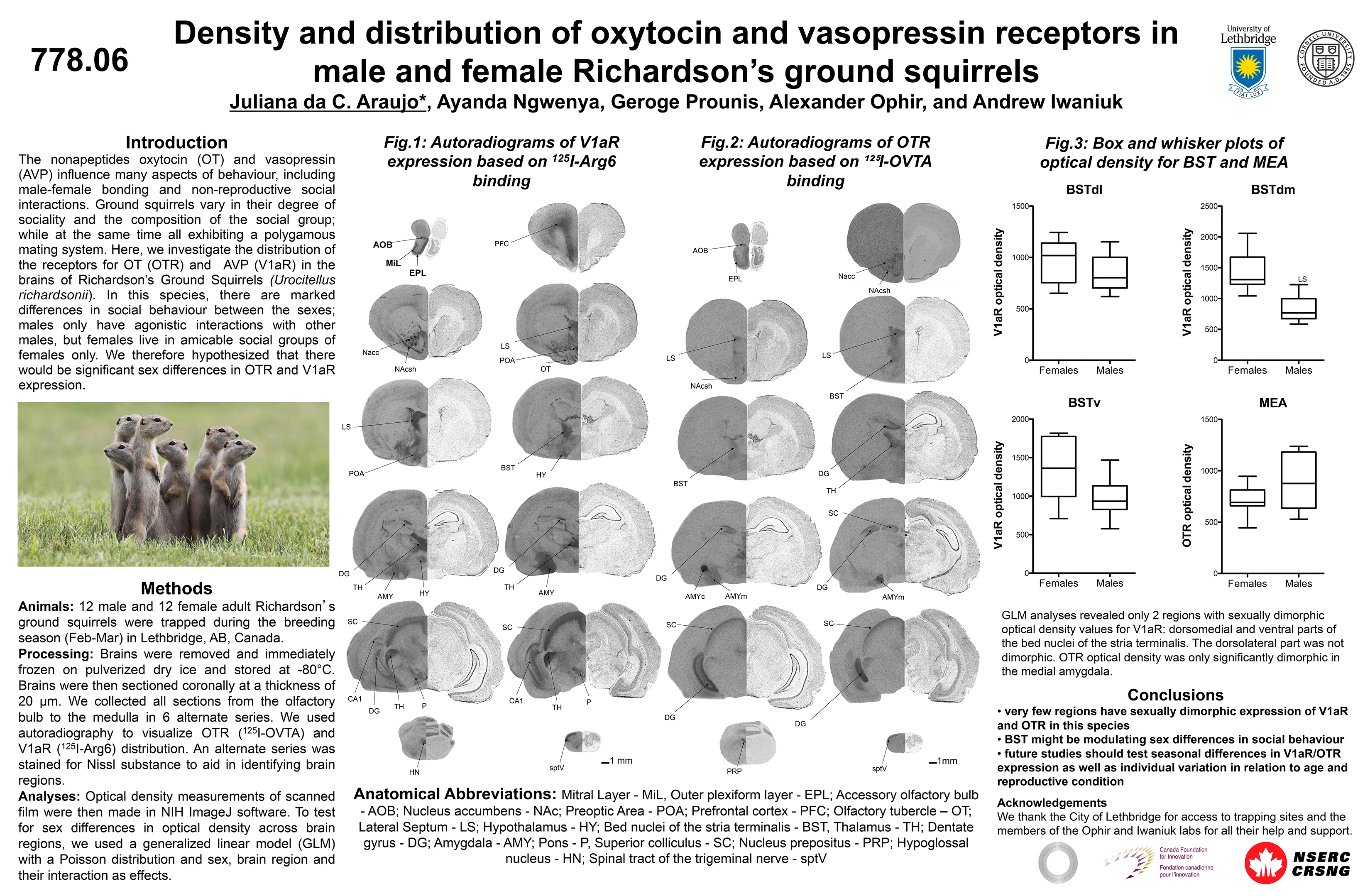 Density and distribution of oxytocin and vasopressin receptors in male ...